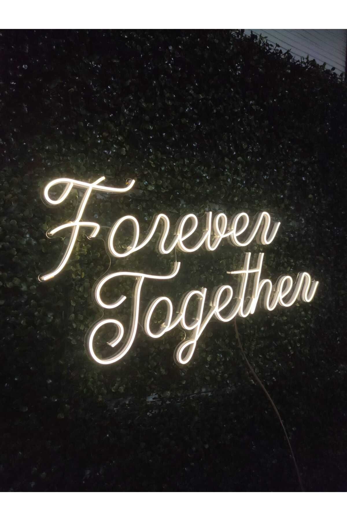 Forever Together Nişan Söz Arka plan aydınlatma neon(70x35cm)