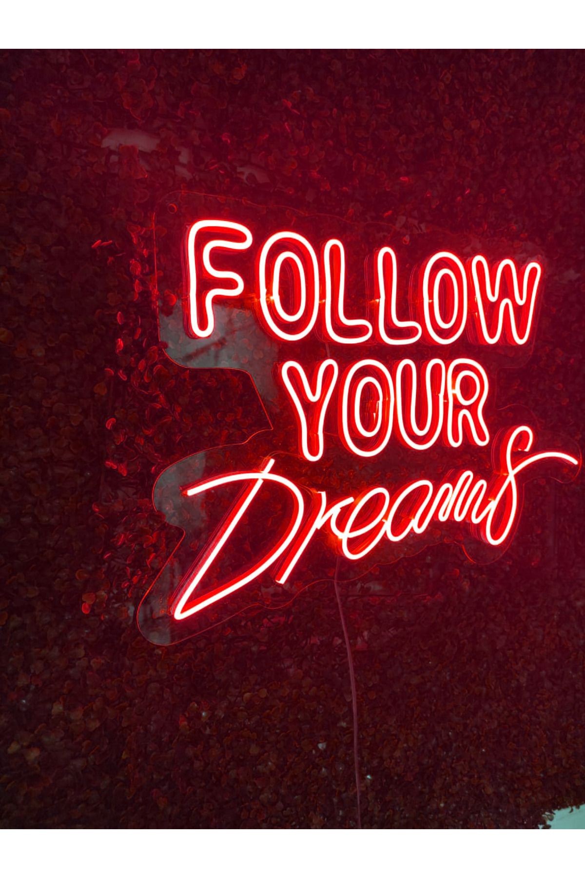 Follow Your Dreams Yazılı Neon Led tabela Dekoratif Aydınlatma(60x40cm)