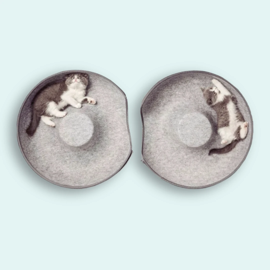 Donut Kedi Yatağı - Donut Kedi Tüneli