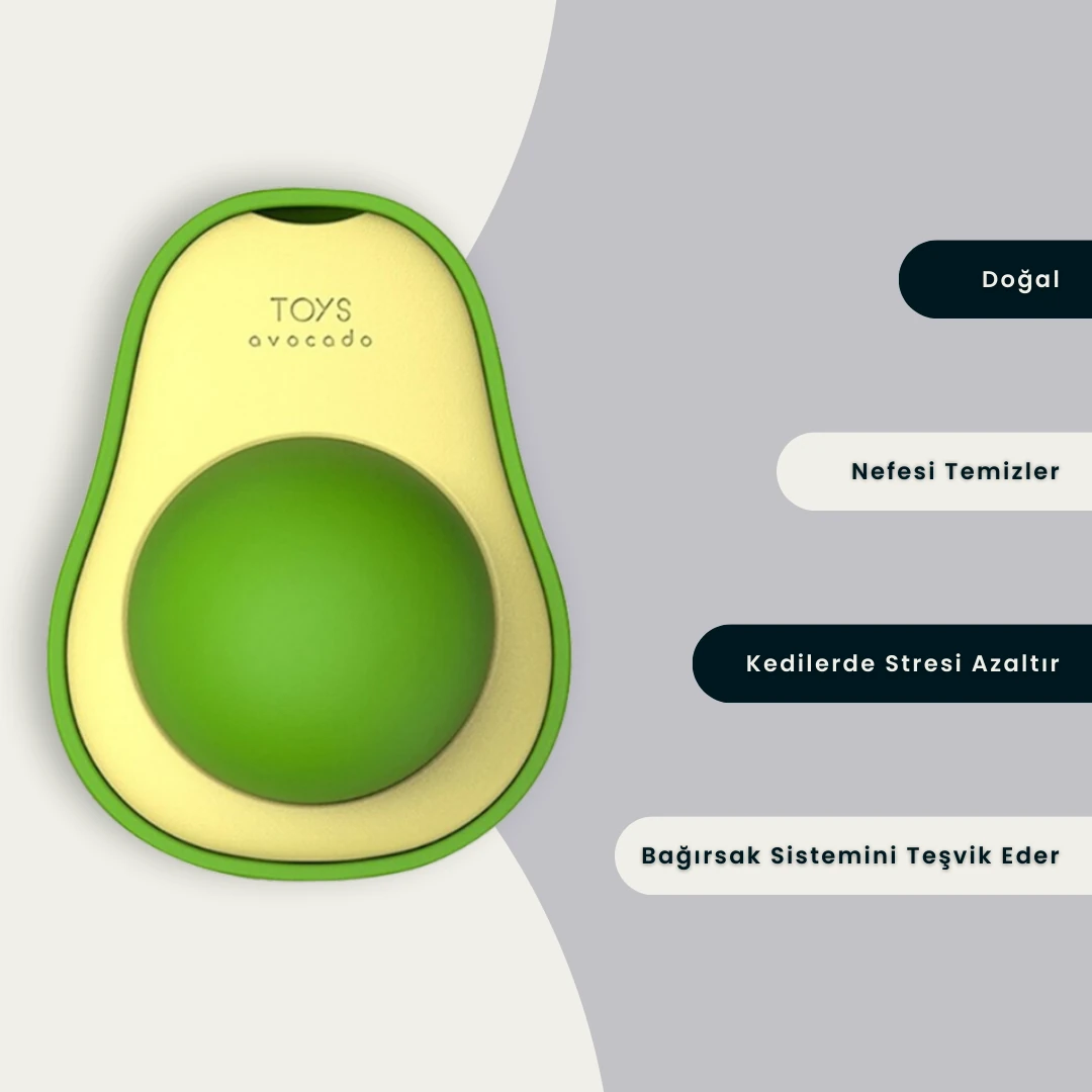 Avokado Kedi Oyuncağı