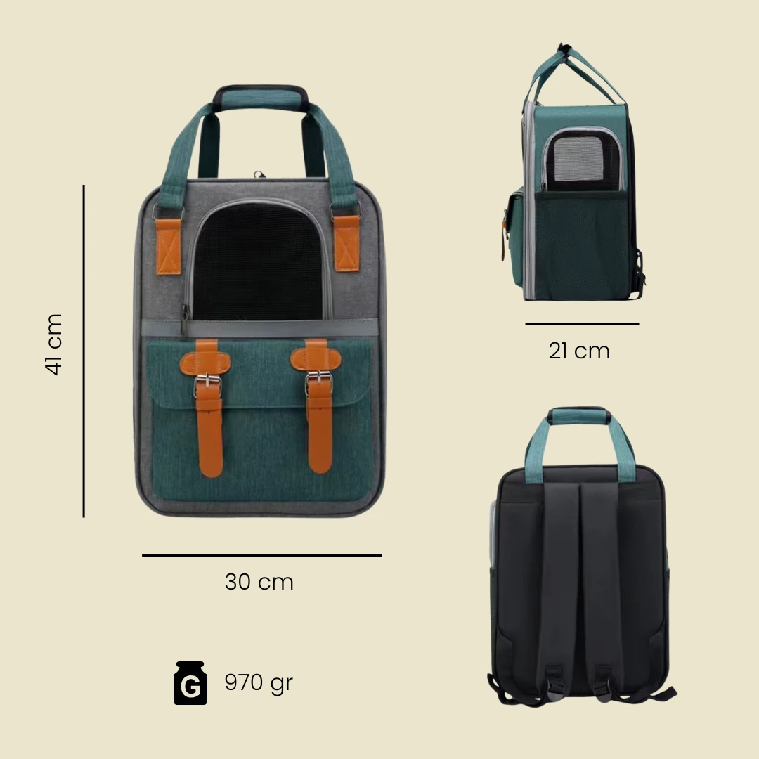 Retro Kedi Taşıma Sırt Çantası