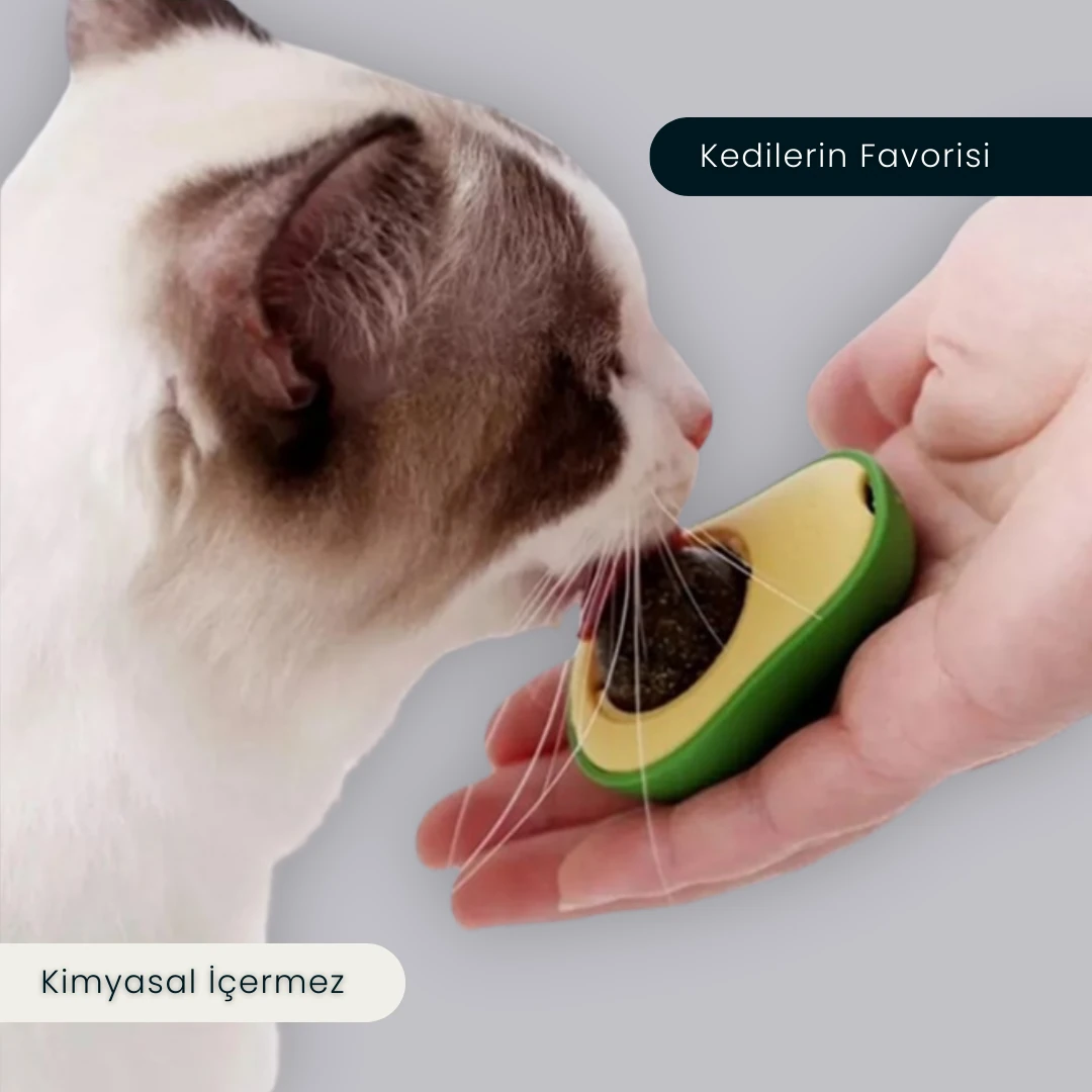 Avokado Kedi Oyuncağı