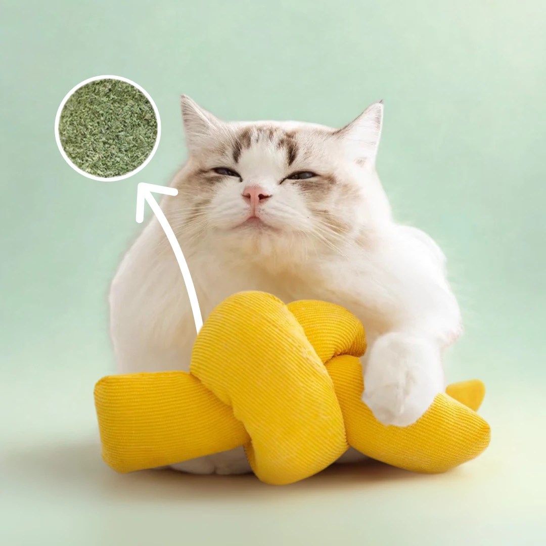 Kedi Otlu Kedi Oyuncağı