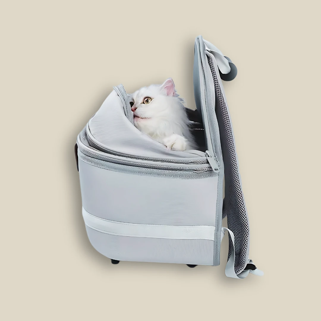 Krema Fileli Kedi Taşıma Çantası