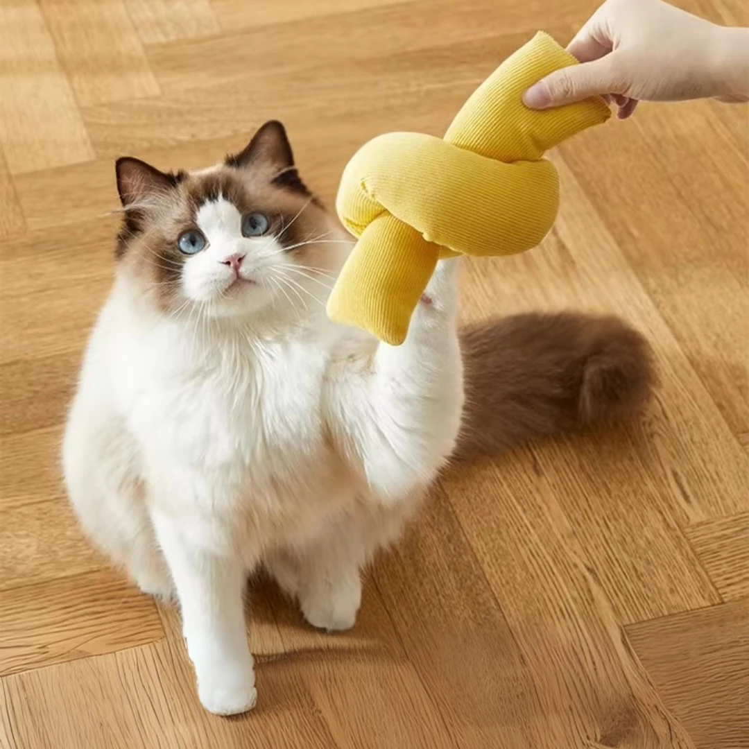 Kedi Otlu Kedi Oyuncağı