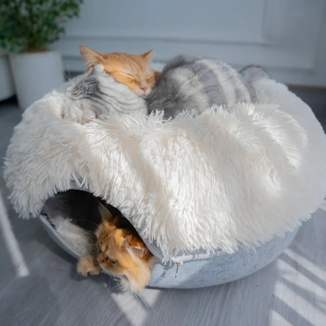 Peluş Donut Kedi Tüneli