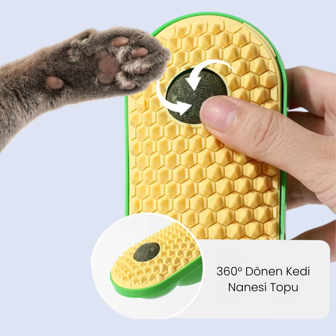 Catnipli Kaşınma Oyuncağı