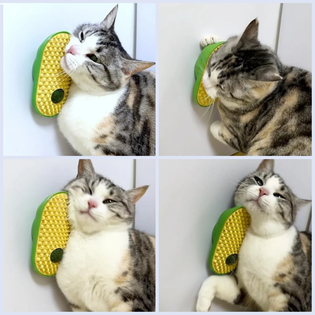 Catnipli Kaşınma Oyuncağı