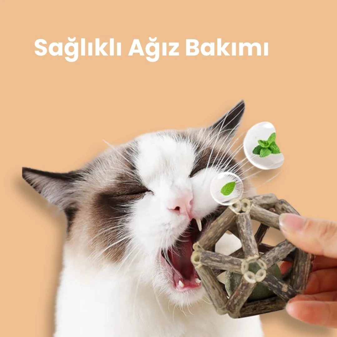 Matatabi Oyun Topu & Ağız Temizleyici