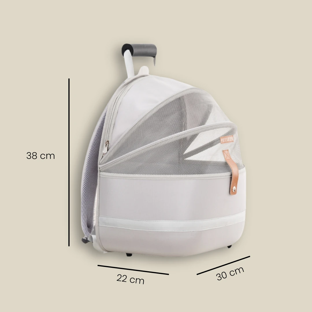 Krema Fileli Kedi Taşıma Çantası