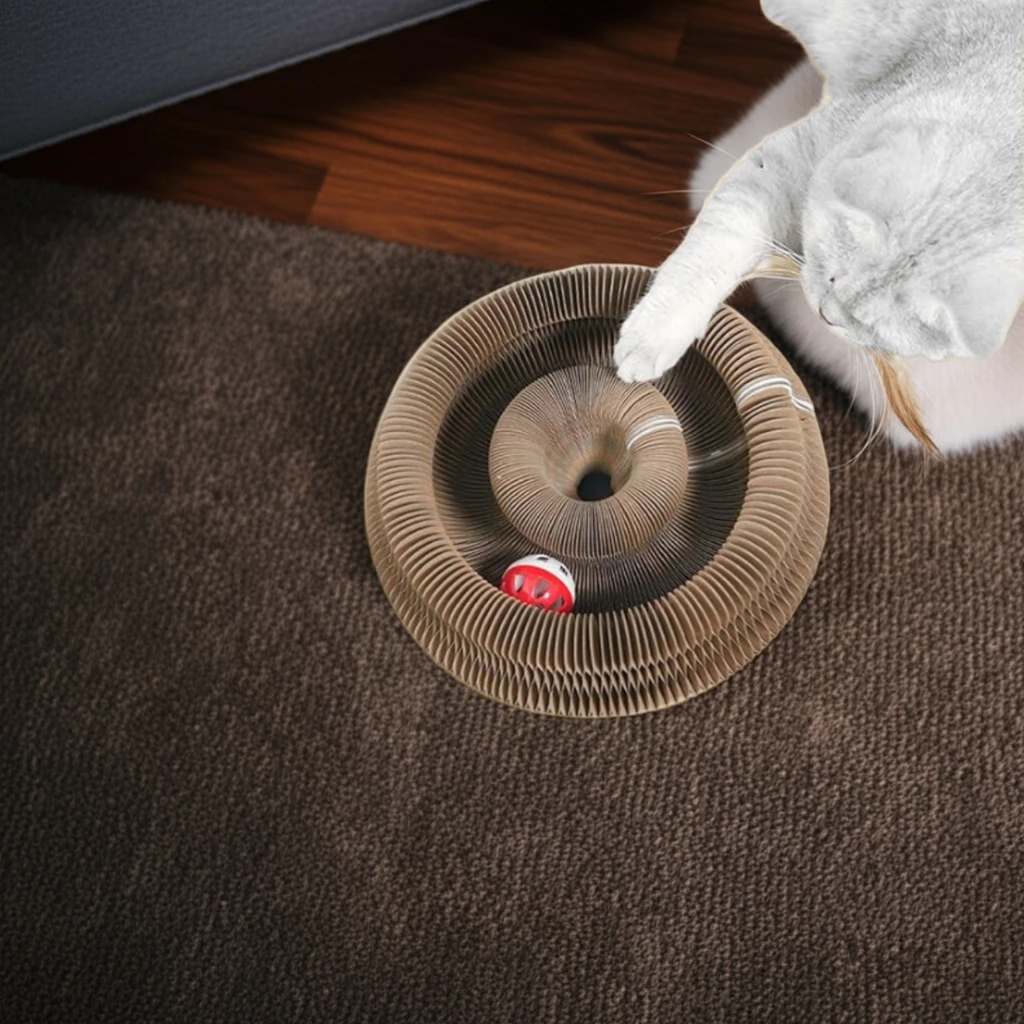 Akordiyon Tırmalama Oyuncağı