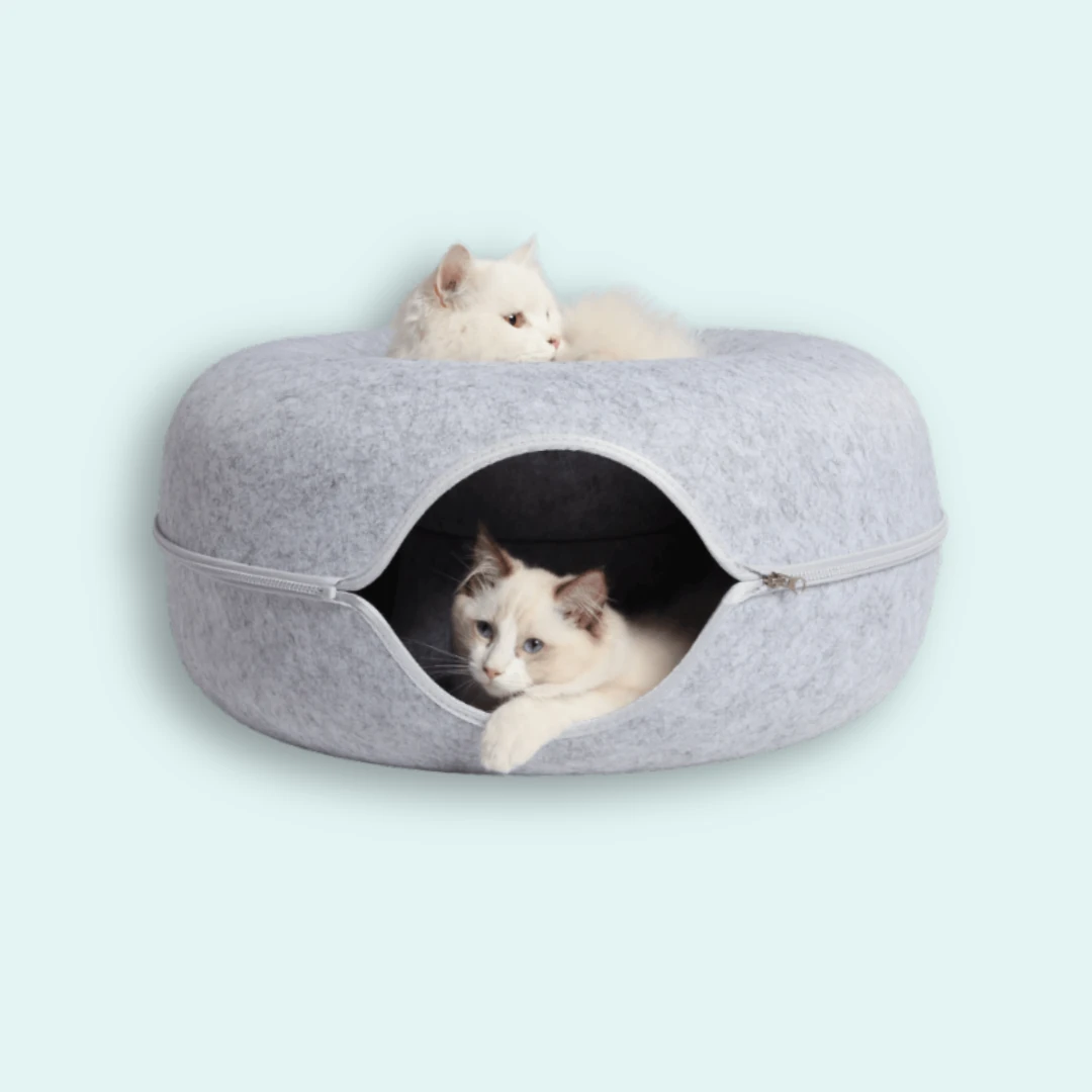 Donut Kedi Yatağı - Donut Kedi Tüneli