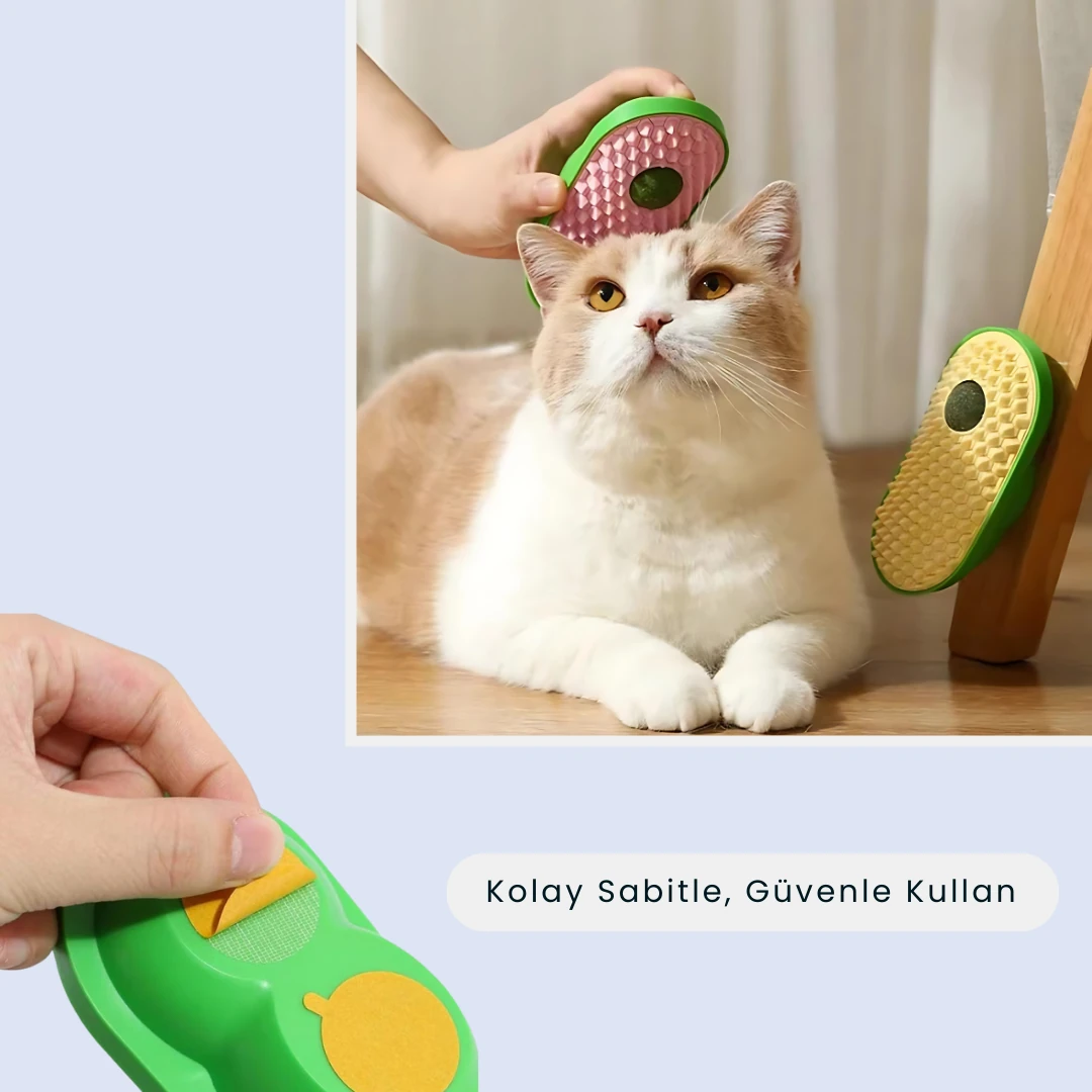 Catnipli Kaşınma Oyuncağı