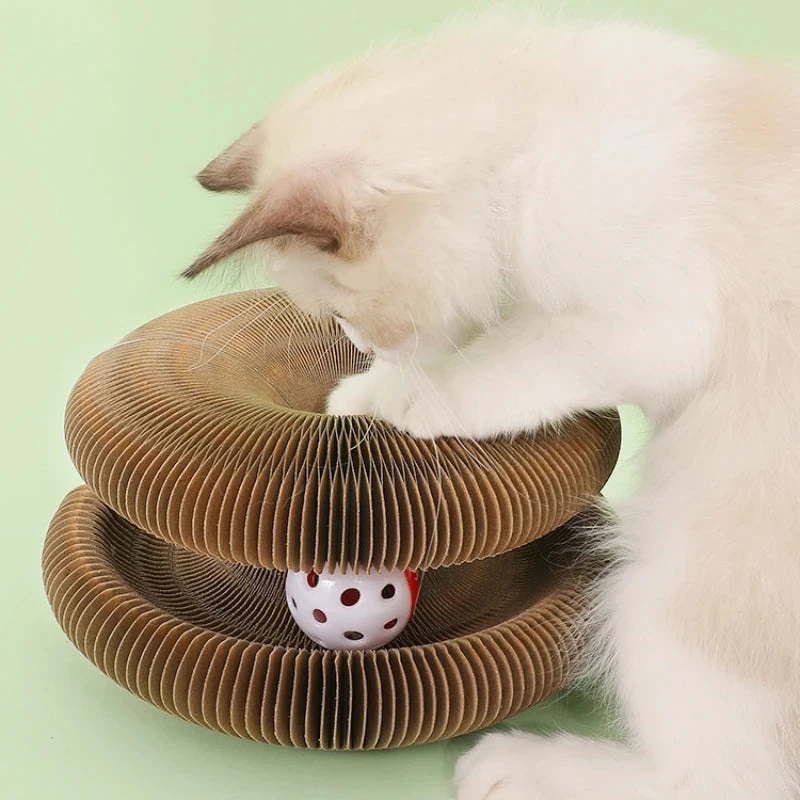 Akordiyon Tırmalama Oyuncağı