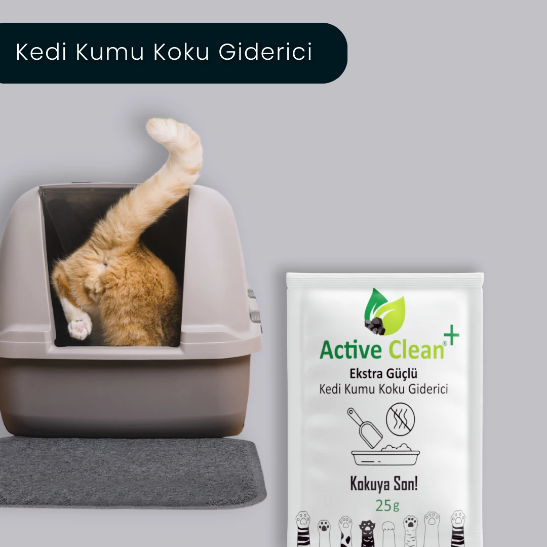 Kedi Kumu Koku Giderici