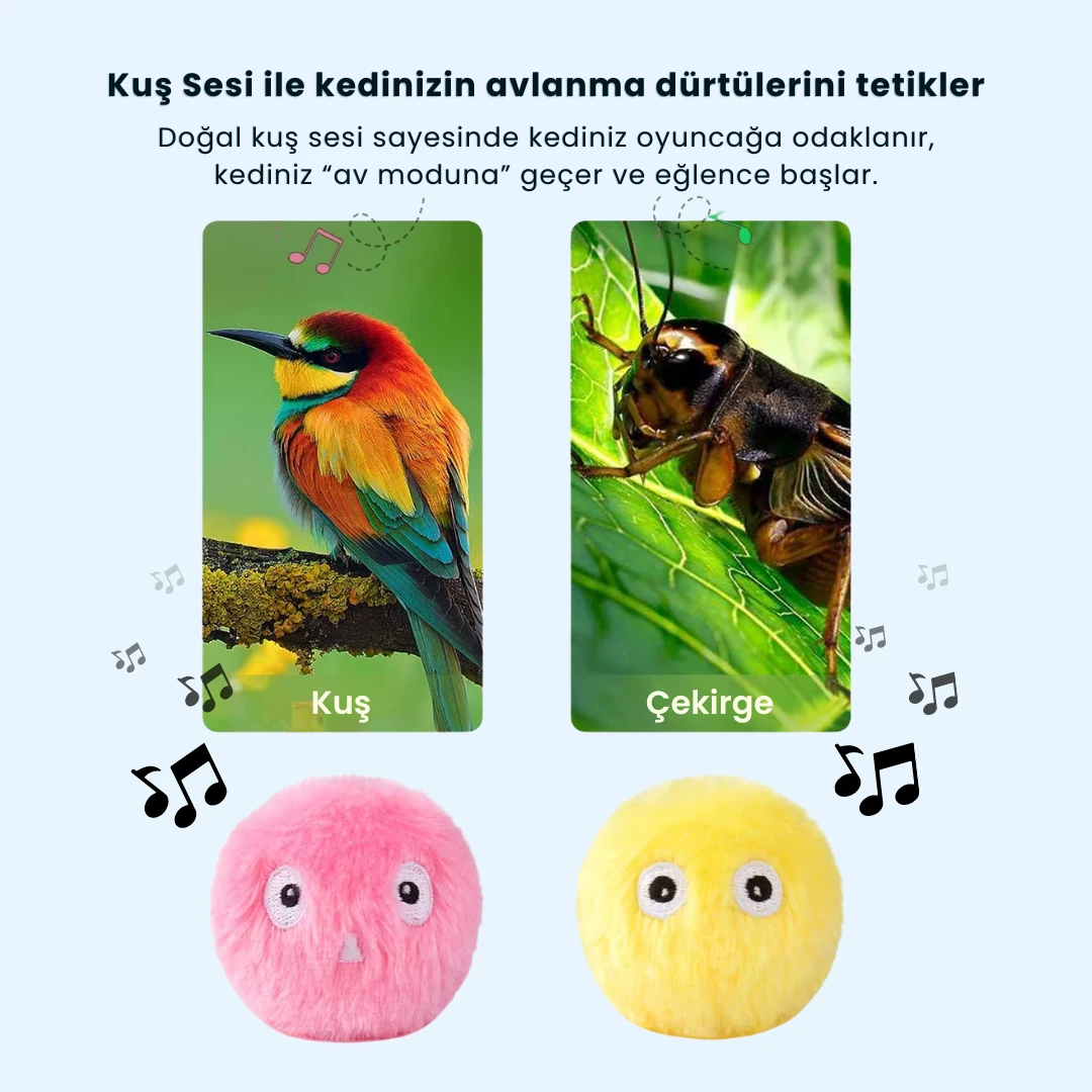 Ponpon - Kedi Otlu Sesli Kedi Oyuncağı