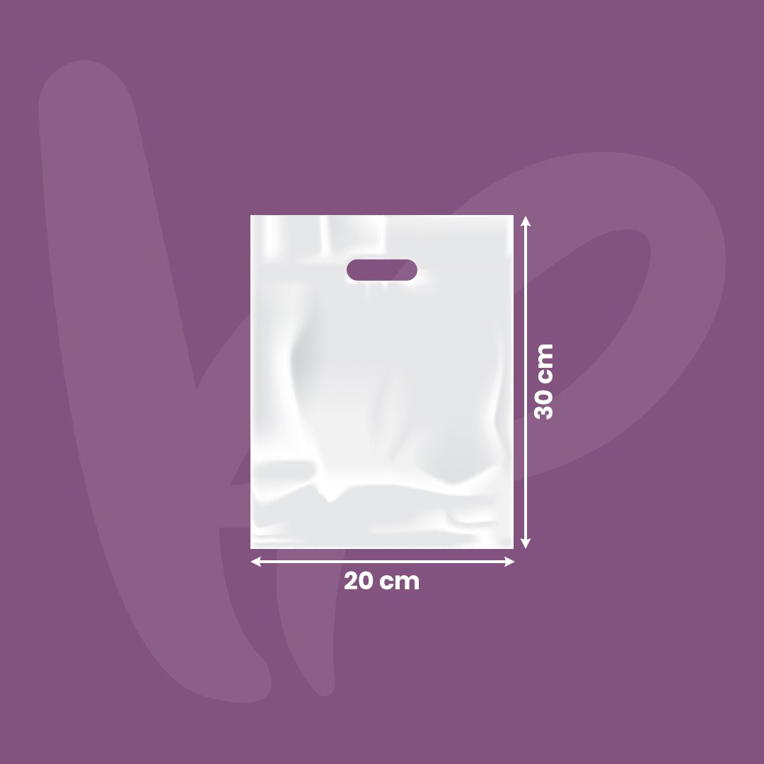 Unprinted Punch Out Handle Bag 20*30cm