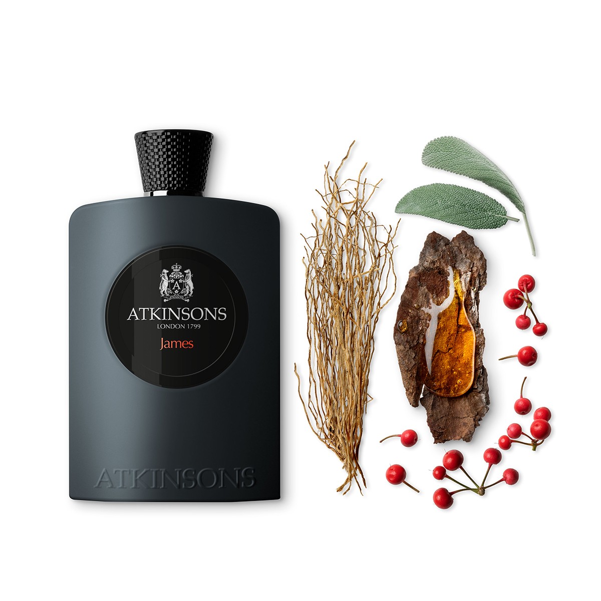 ATKINSONS James Edp 100 ML Erkek parfümü