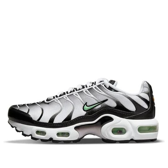 Nike Air Max Plus 'White Reflect Silver Fresh Mint'
