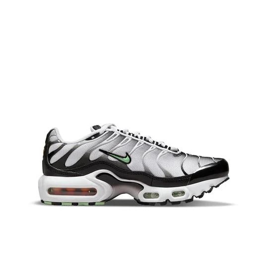 Nike Air Max Plus 'White Reflect Silver Fresh Mint'