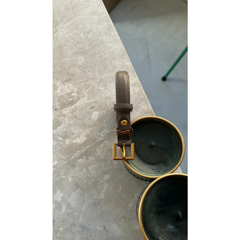 Ysl Belt ince vizon