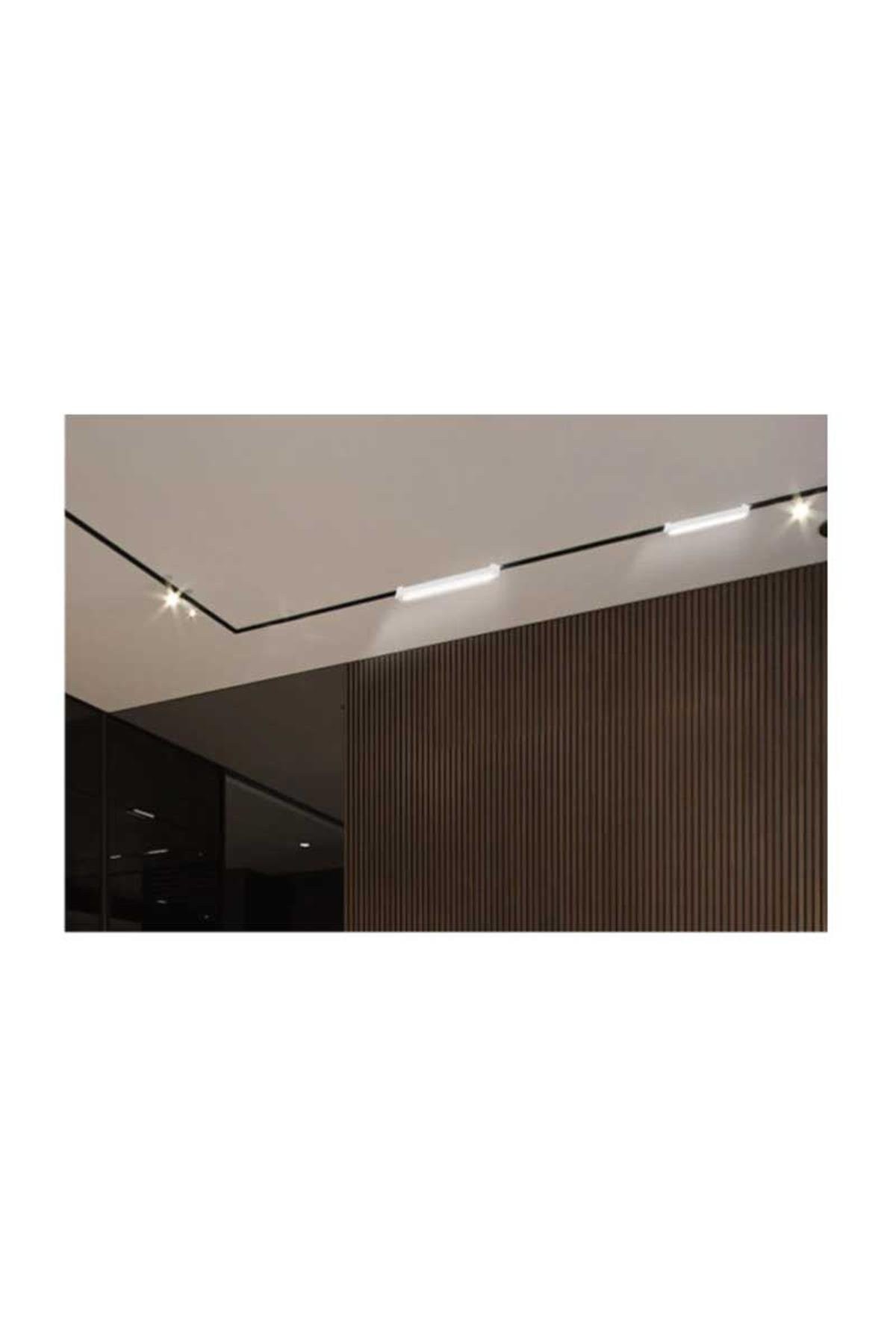 Forlife Beyaz Kasa Silver Lensli Ray Armatürü 30W 3200K Gün Işığı Fl-5583 Bs