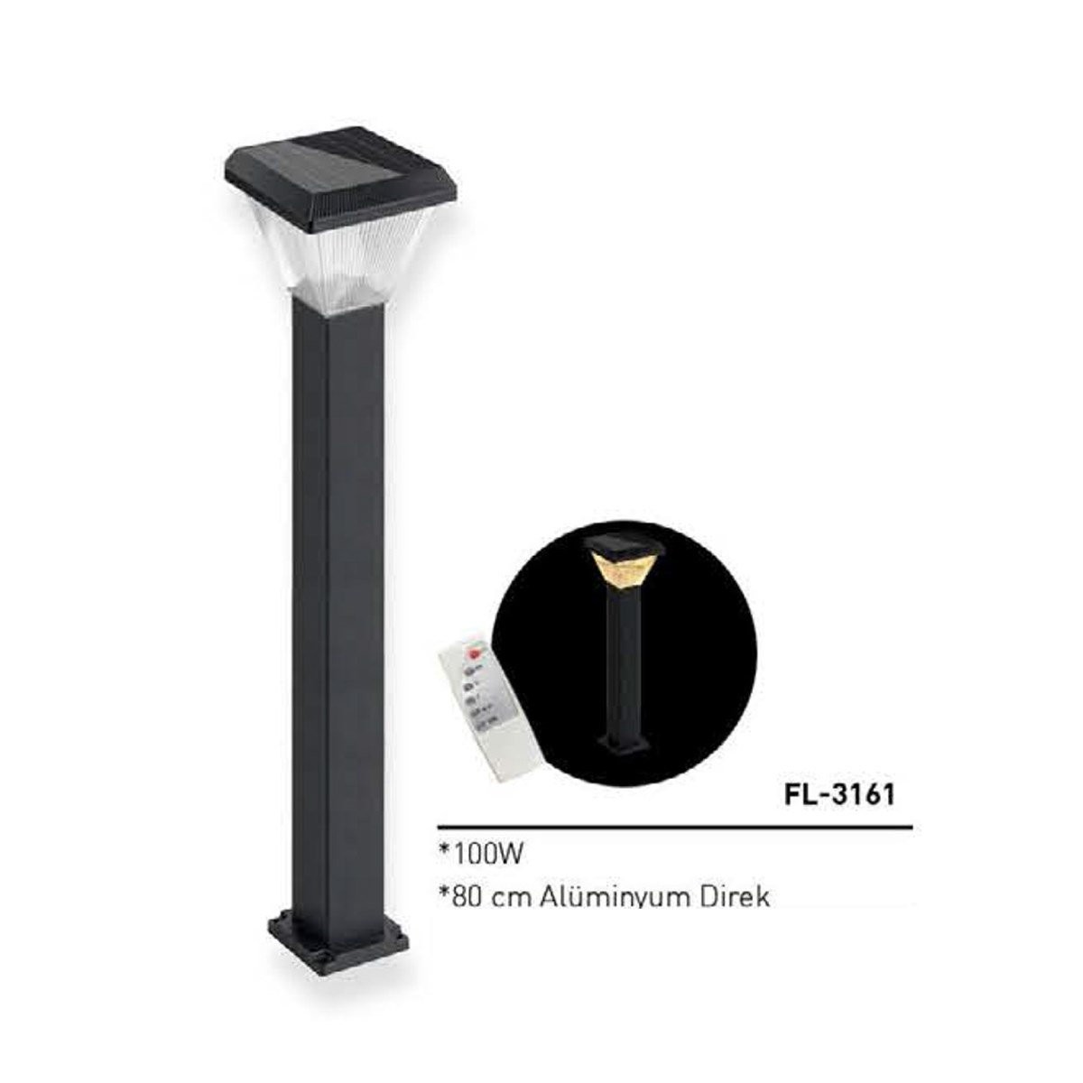 Solar Güneş Enerjili Sokak Armatürü 100W Fl-3161