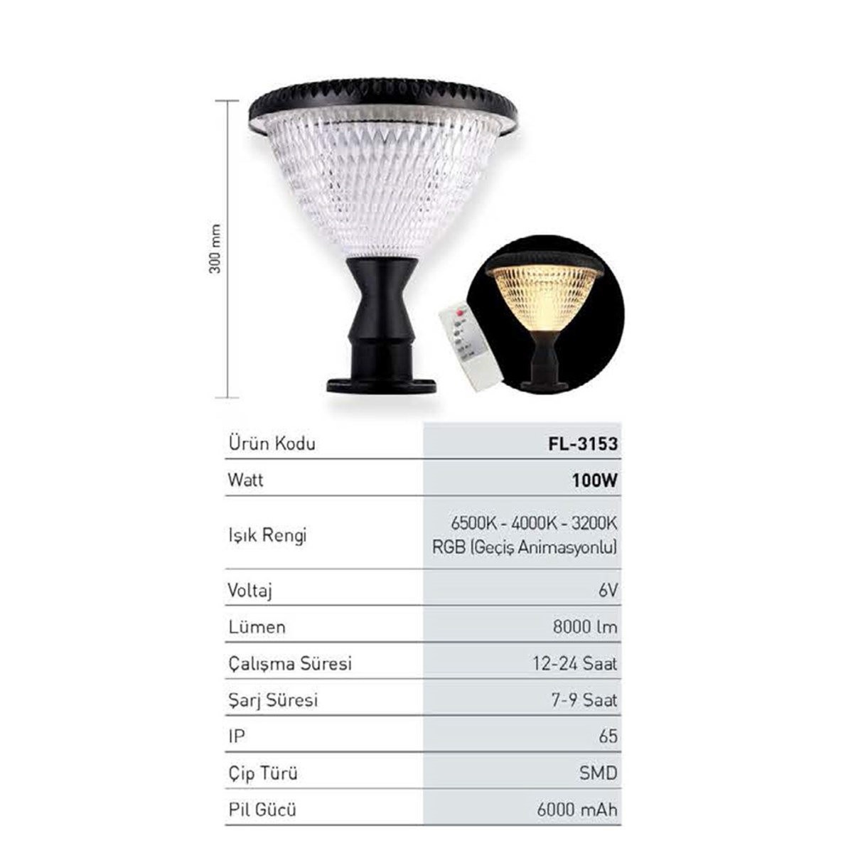 Forlife Solar Güneş Enerjili Sokak Armatürü 100W Fl-3153