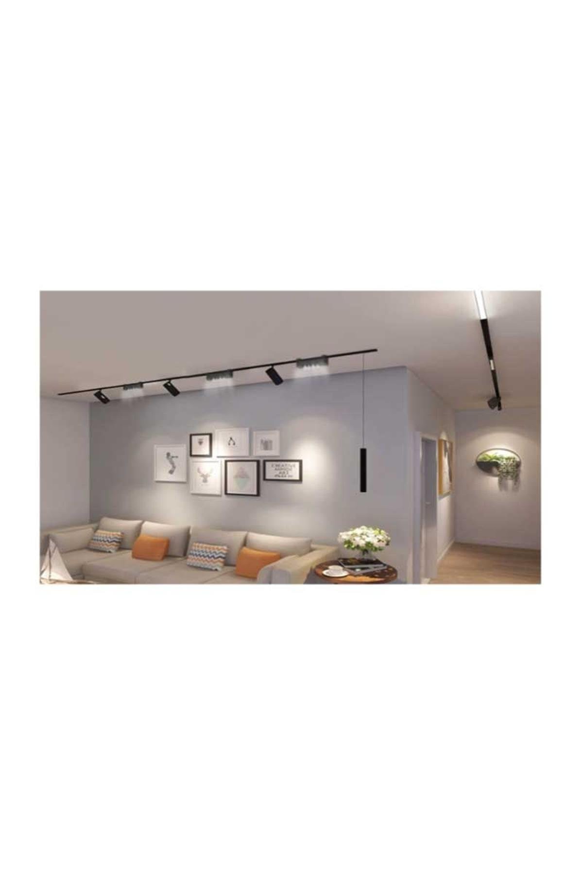 Forlife Siyah Kasa Silver Lensli Ray Armatürü 10W 6500K Beyaz Fl-5581 Ss