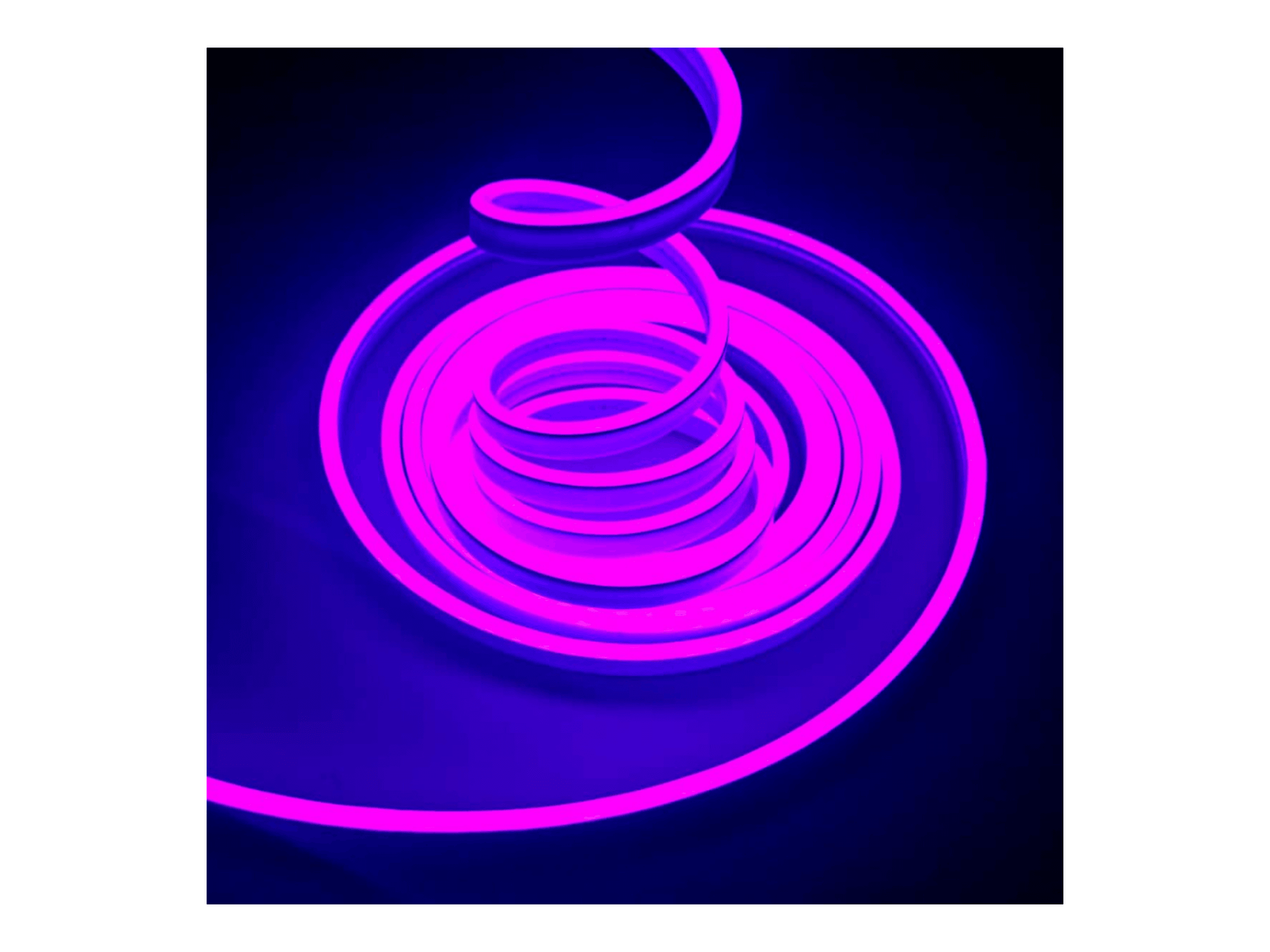 220 Volt Mor Neon Şerit Led