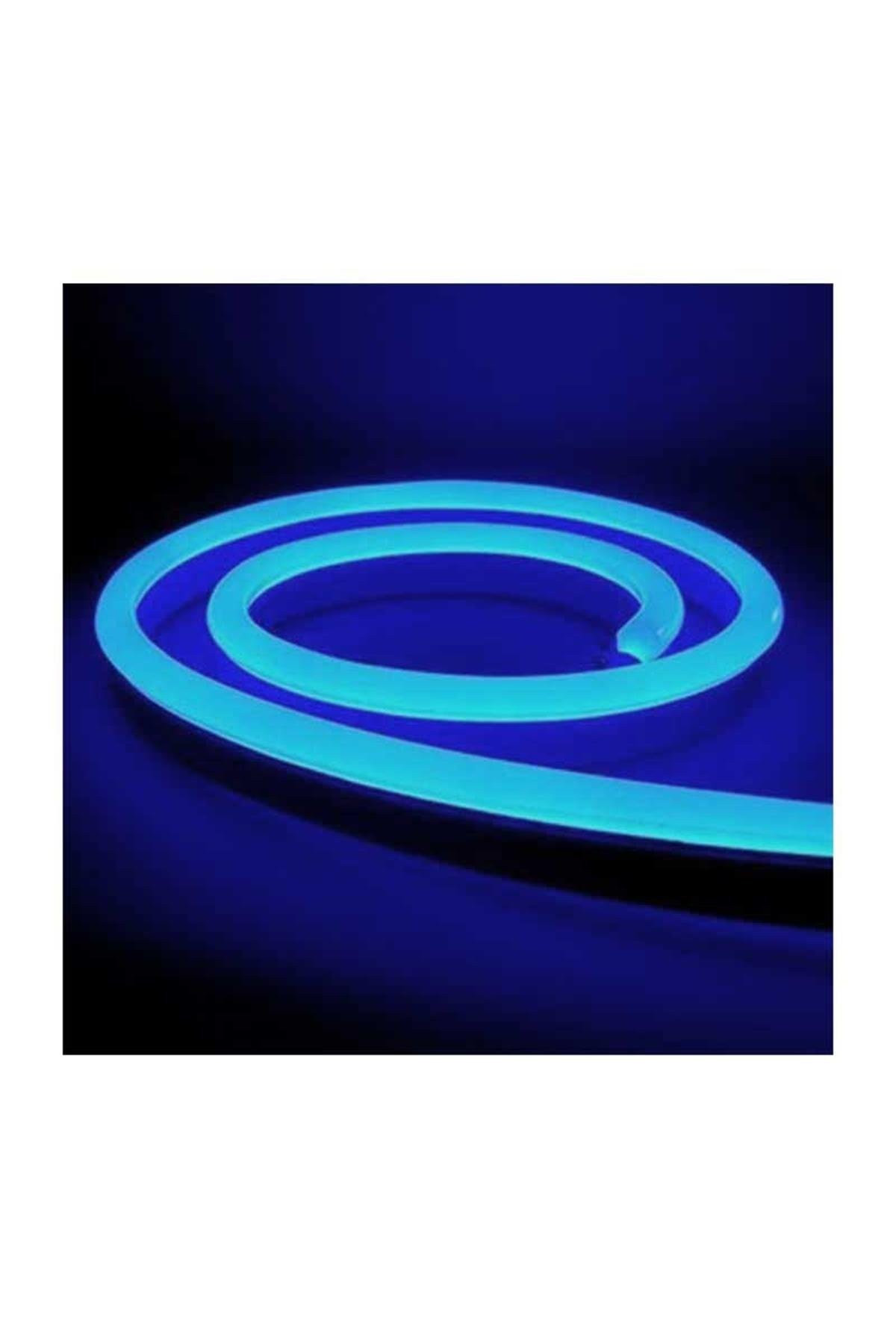 Forlife Neon Led 24V 20 Metre Şerit Led Mavi Fl-5079