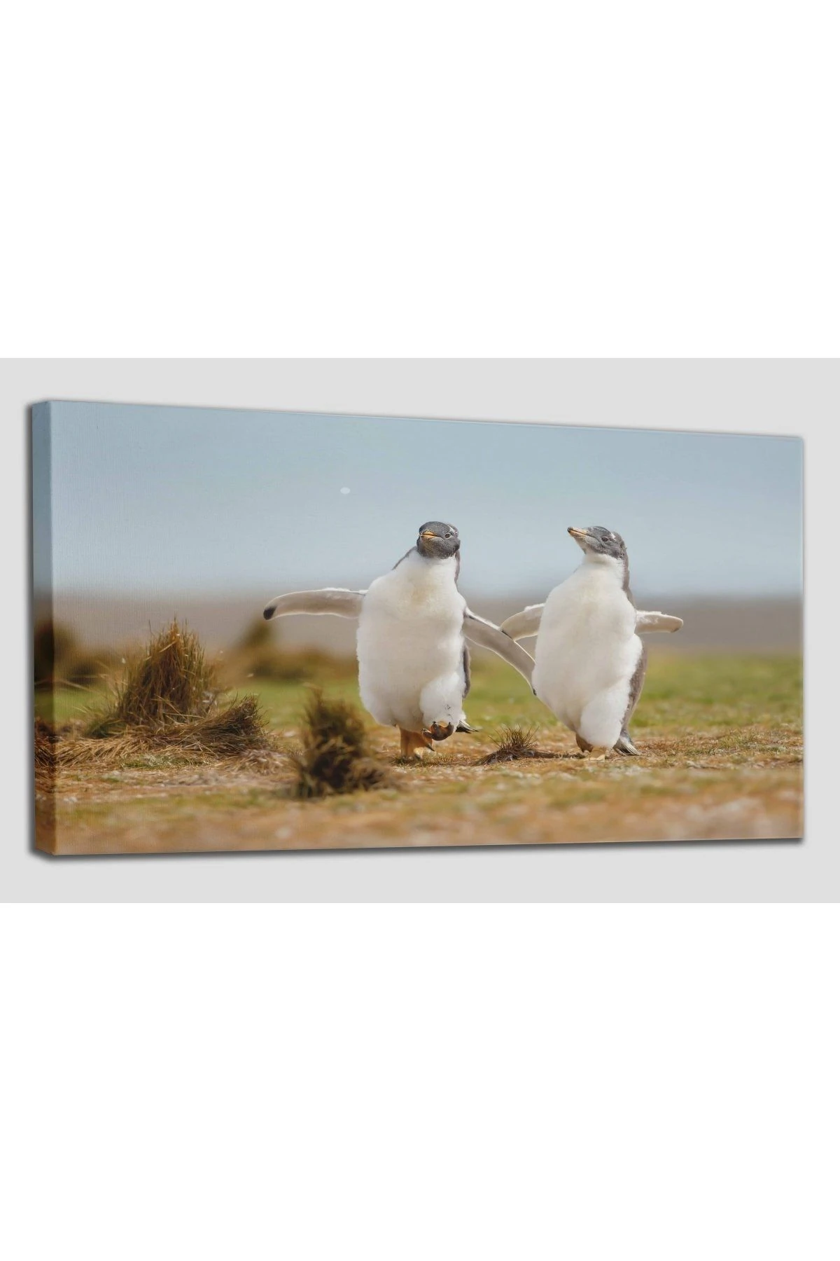Mutlu Yavru Penguenler Dekoratif Kanvas Tablo 1152