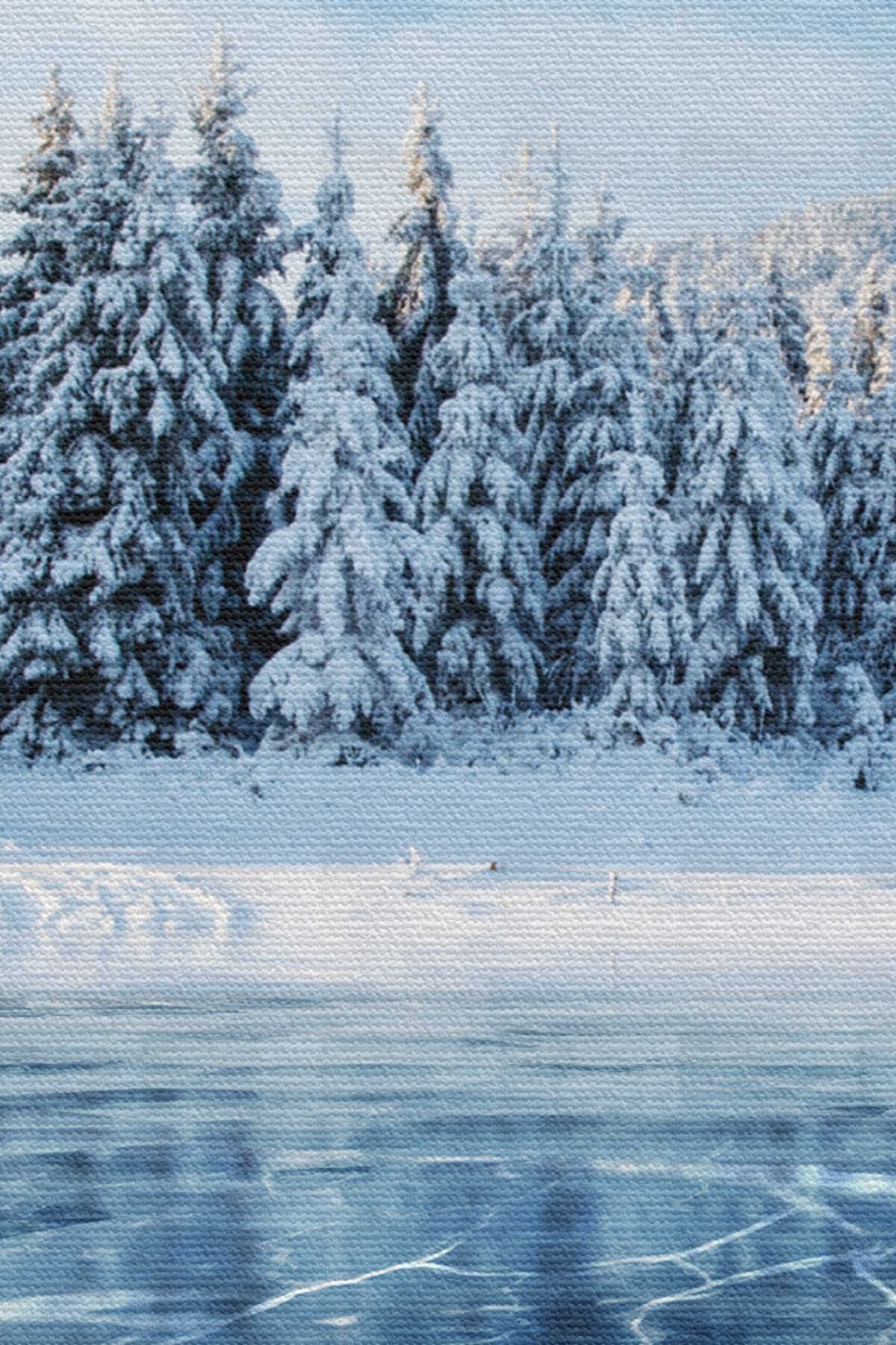 Donmuş Göl Ukrayna Dekoratif Kanvas Duvar Tablosu