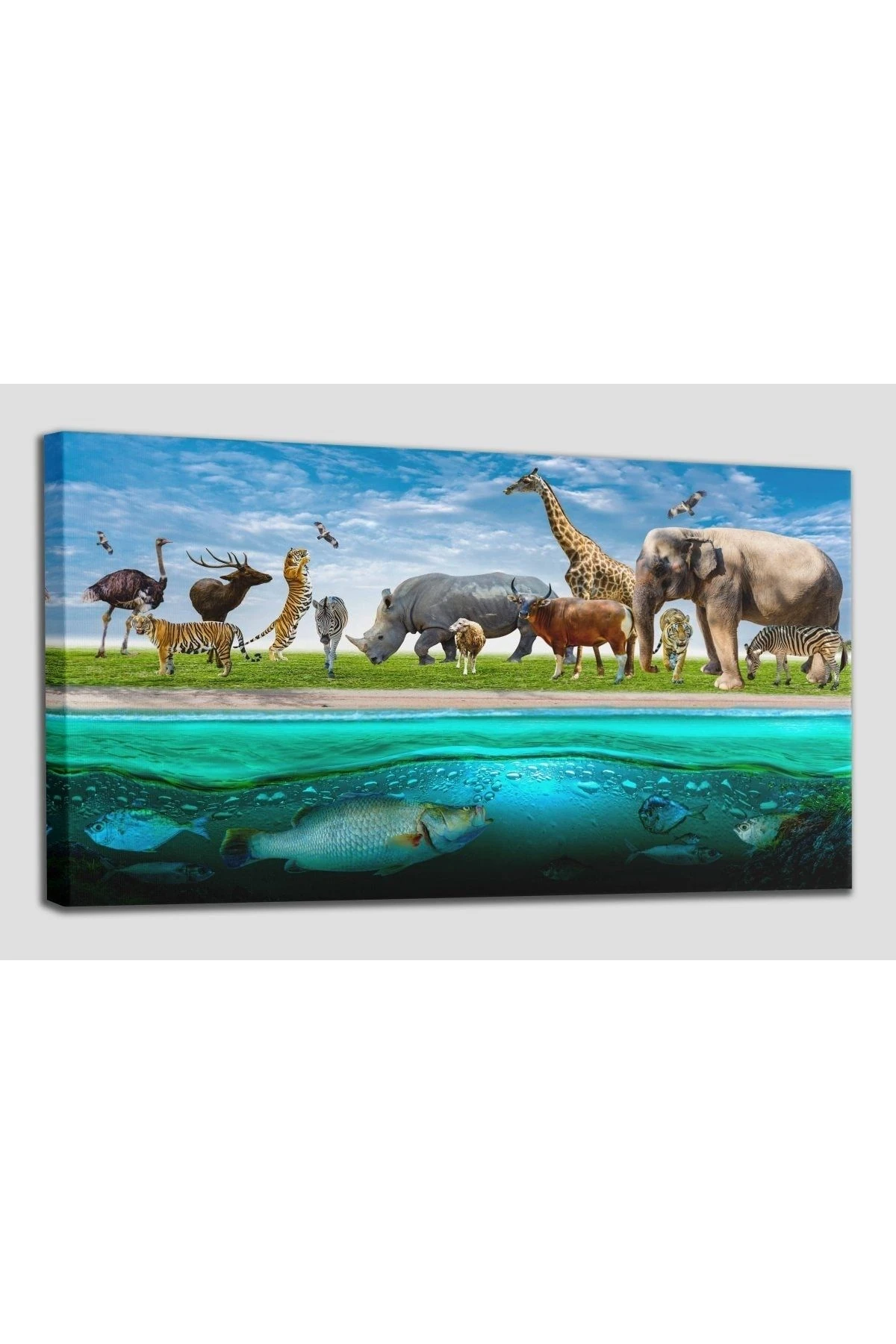 Hayvanlar Alemi Dekoratif Kanvas Tablo 1177