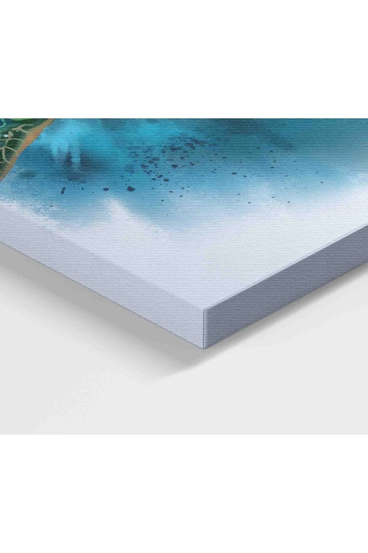 Caretta Caretta Dekoratif Kanvas Tablo 1189