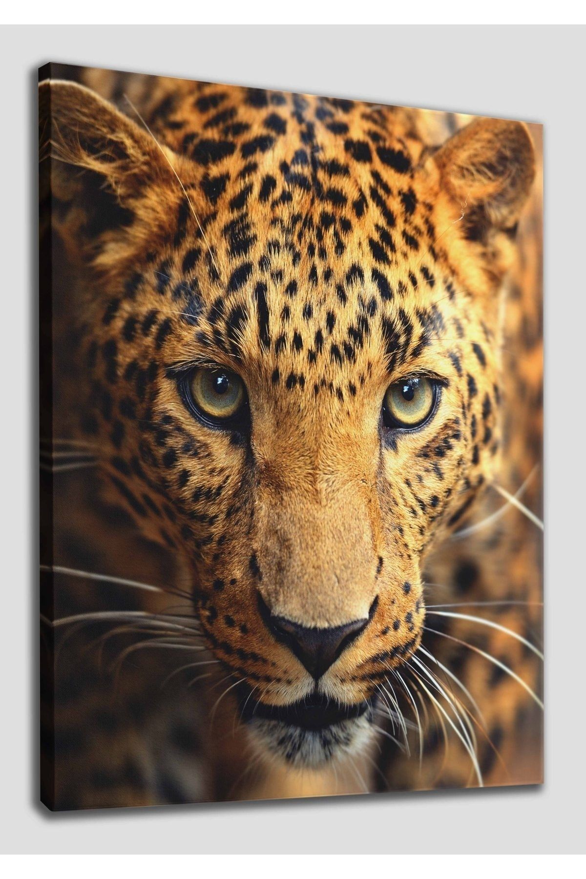 Leopar Dekoratif Kanvas Tablo 1182