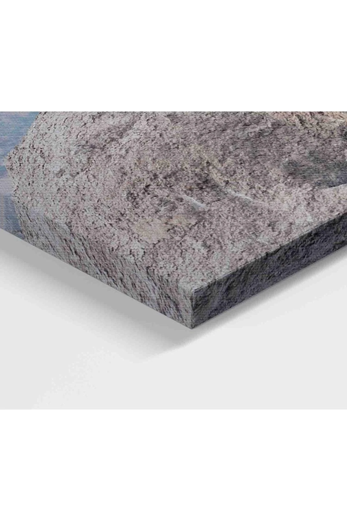 Leopar Dekoratif Kanvas Tablo 1127