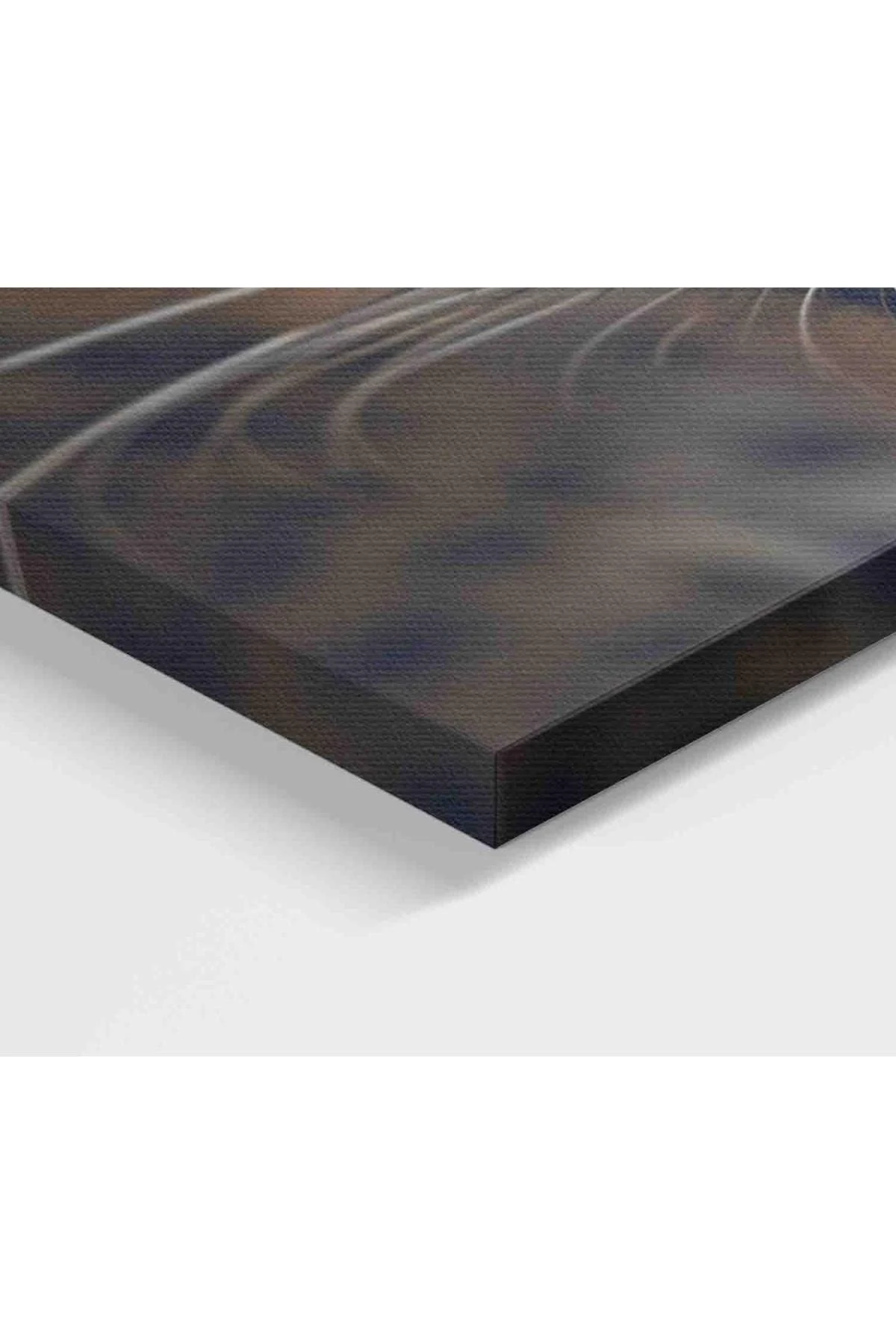 Leopar Dekoratif Kanvas Tablo 1182