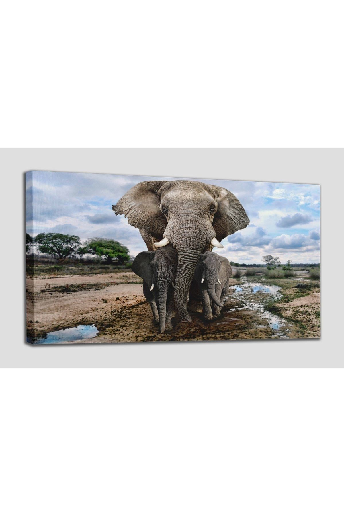 Fil Ve Yavruları Dekoratif Kanvas Tablo 1134