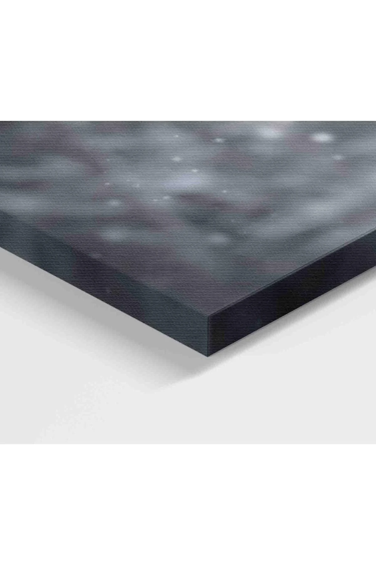 Geyik Dekoratif Kanvas Tablo 1164