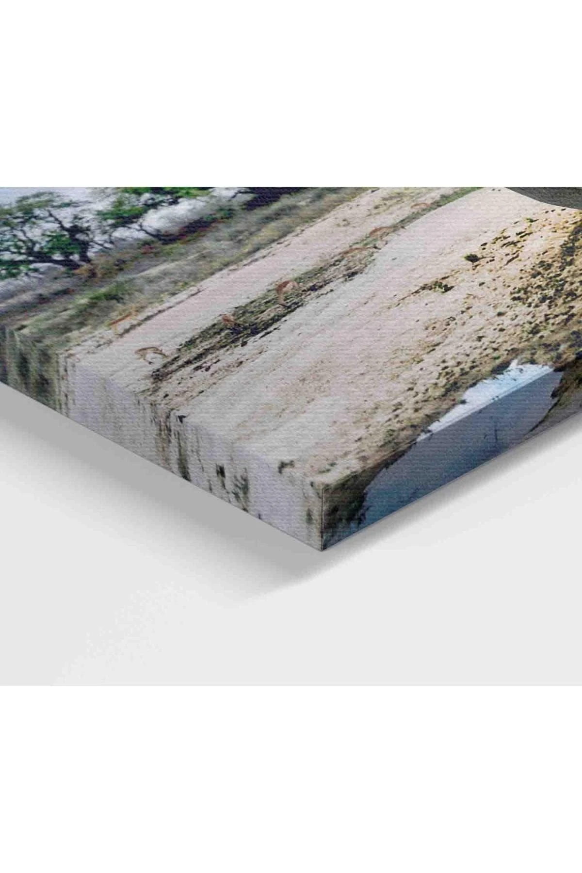 Fil Ve Yavruları Dekoratif Kanvas Tablo 1134