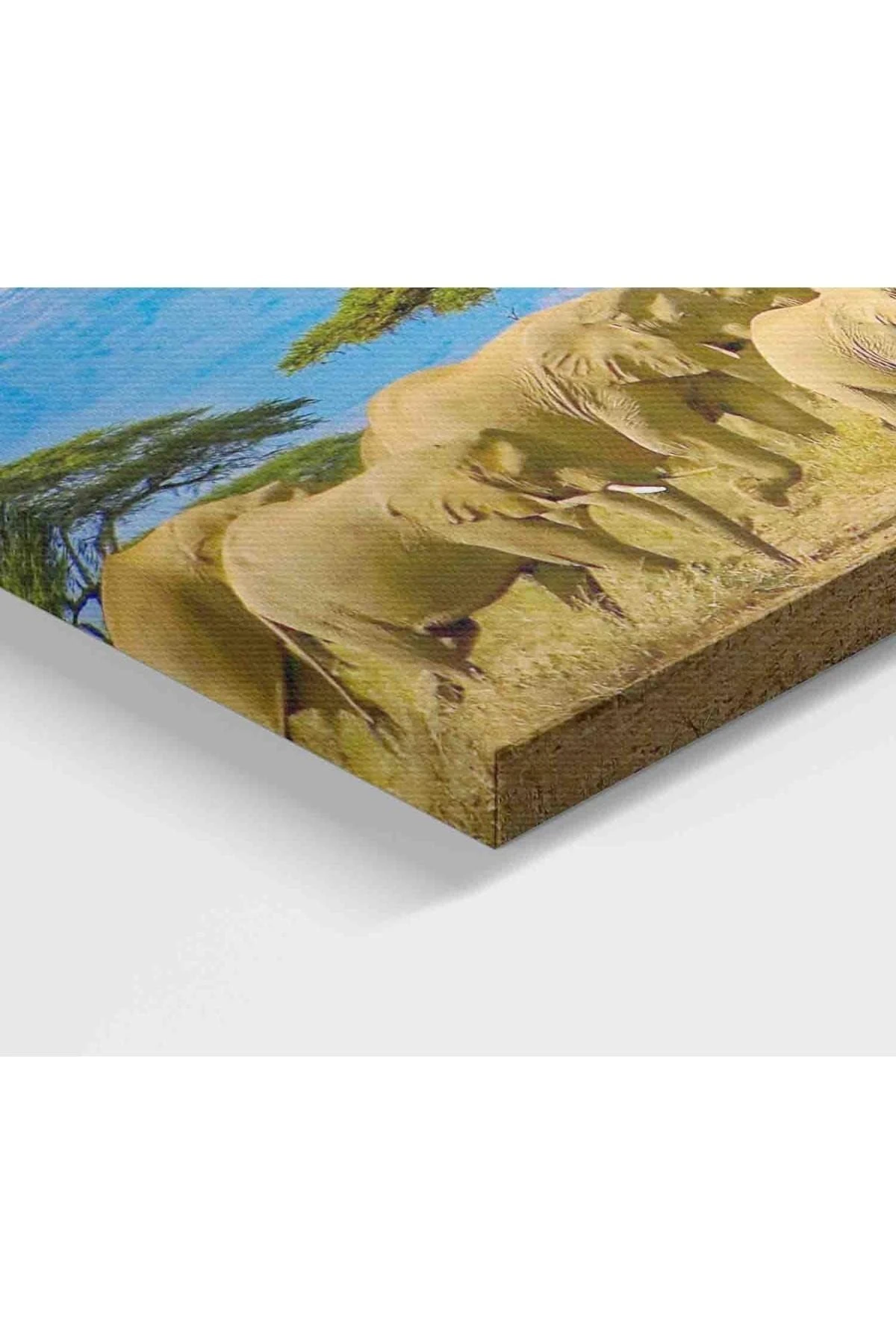 Fil Sürüsü Dekoratif Kanvas Tablo 1143