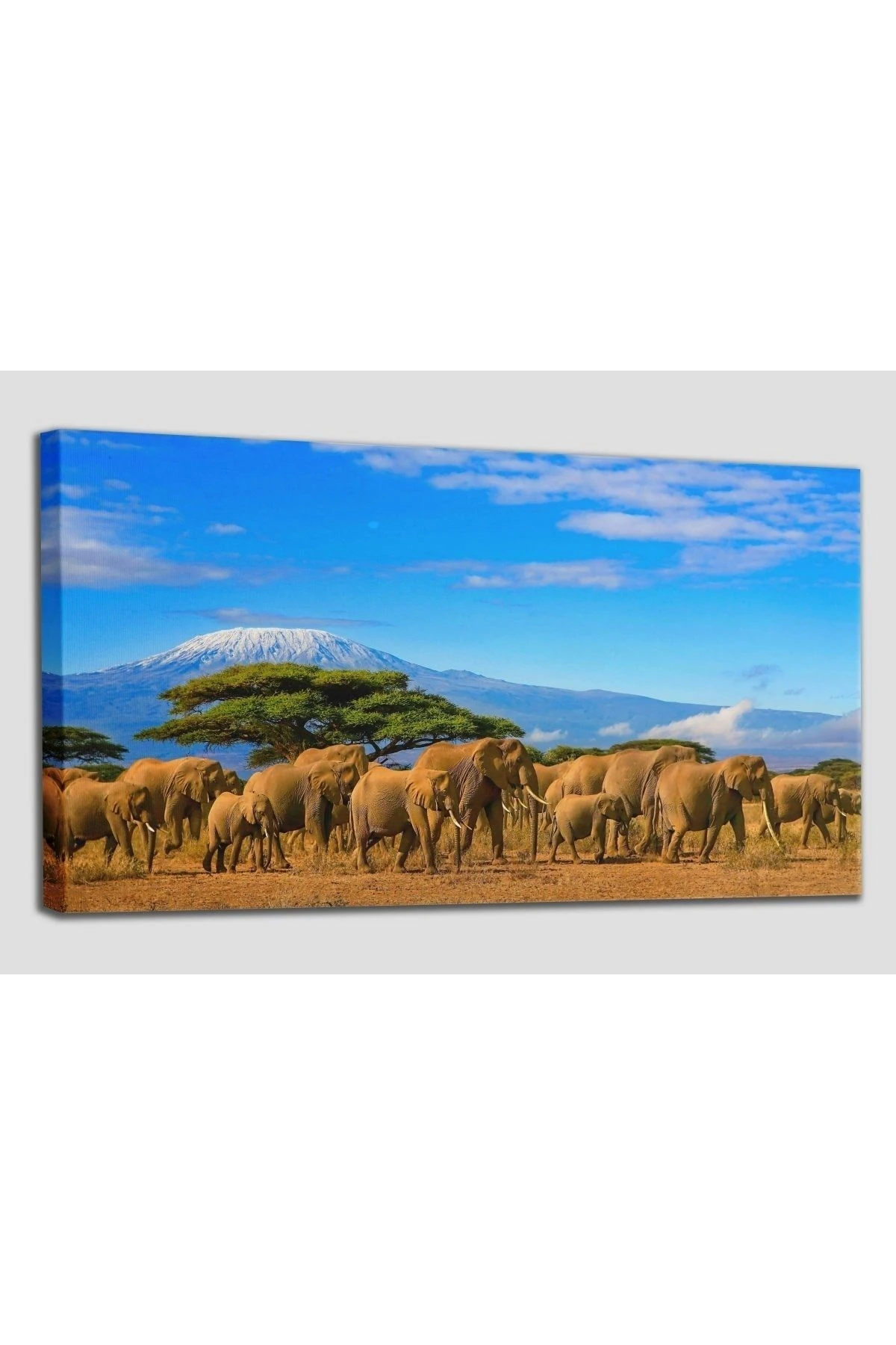 Fil Sürüsü Dekoratif Kanvas Tablo 1143