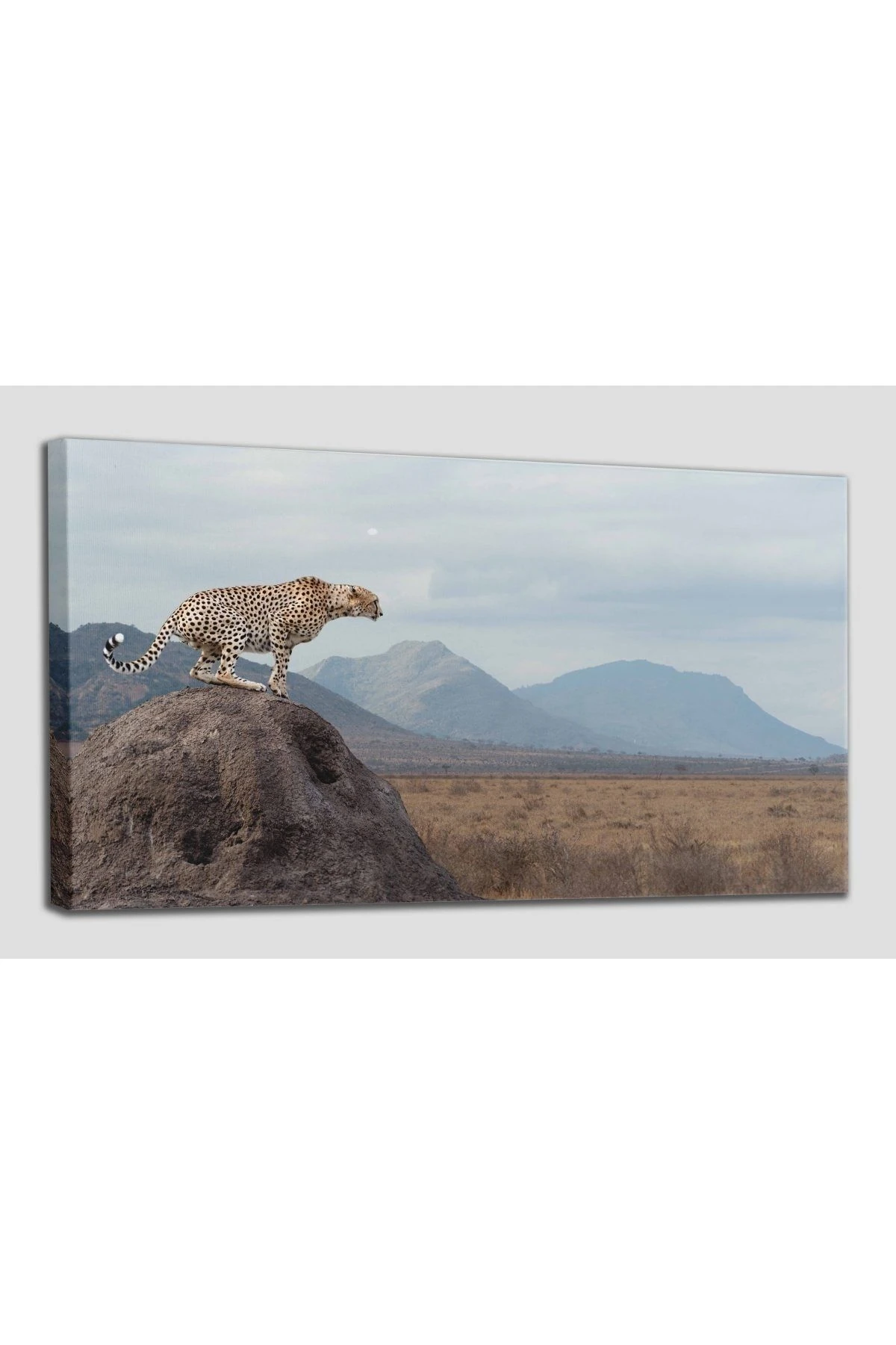 Leopar Dekoratif Kanvas Tablo 1127