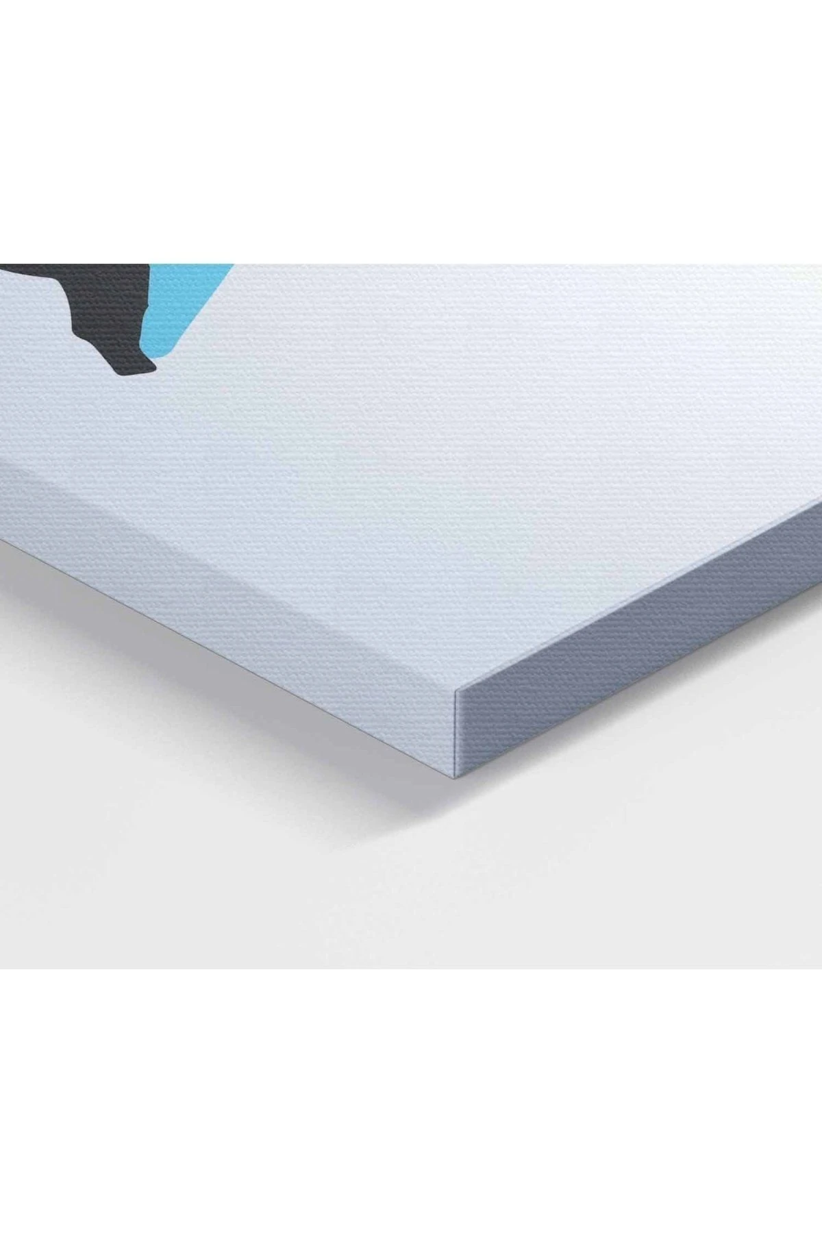 Immanuel Kant Dekoratif Kanvas Tablo 1239