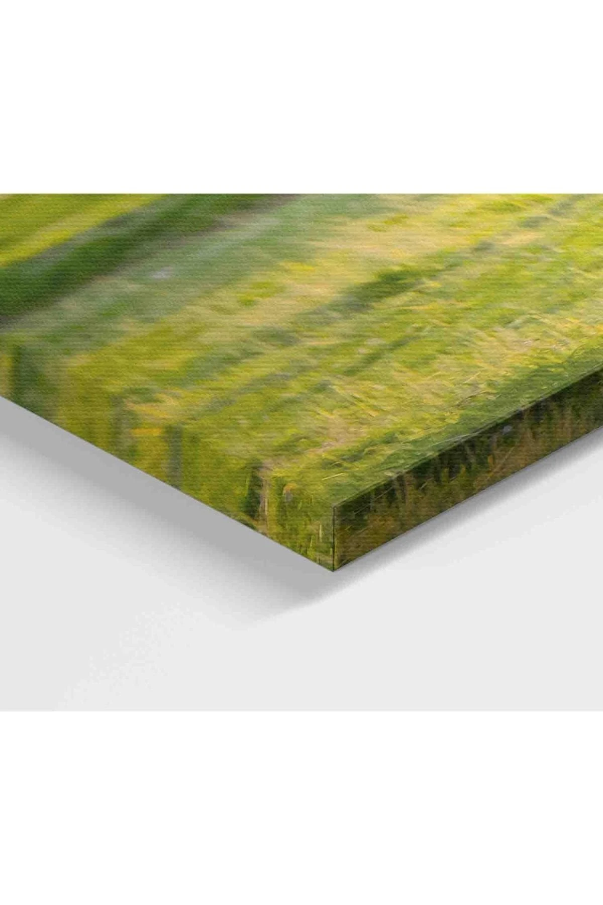 At Ve Tay Manzaralı Dekoratif Kanvas Tablo 1173