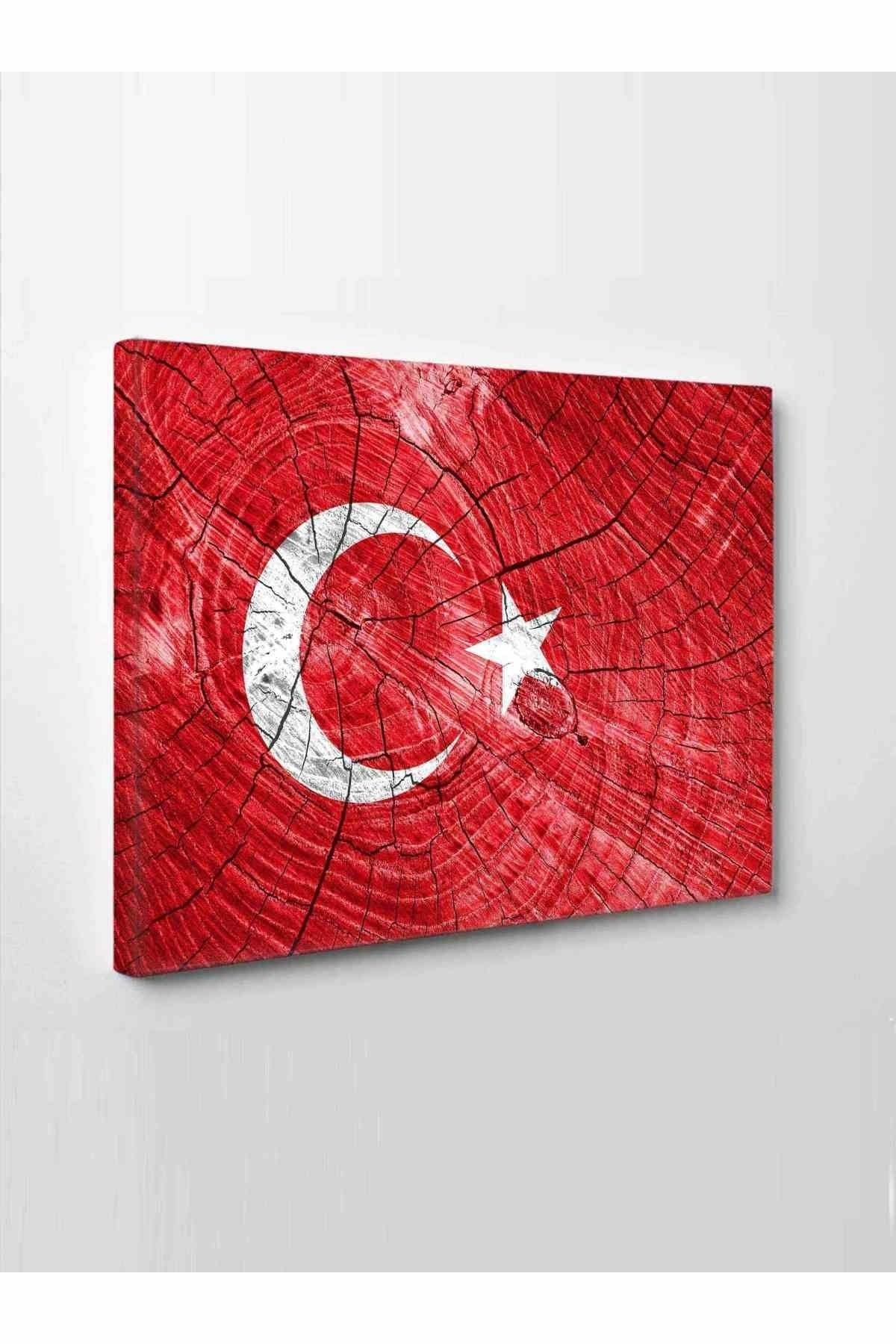 Türk Bayrağı (bir Hilal Uğruna Ya Rab)