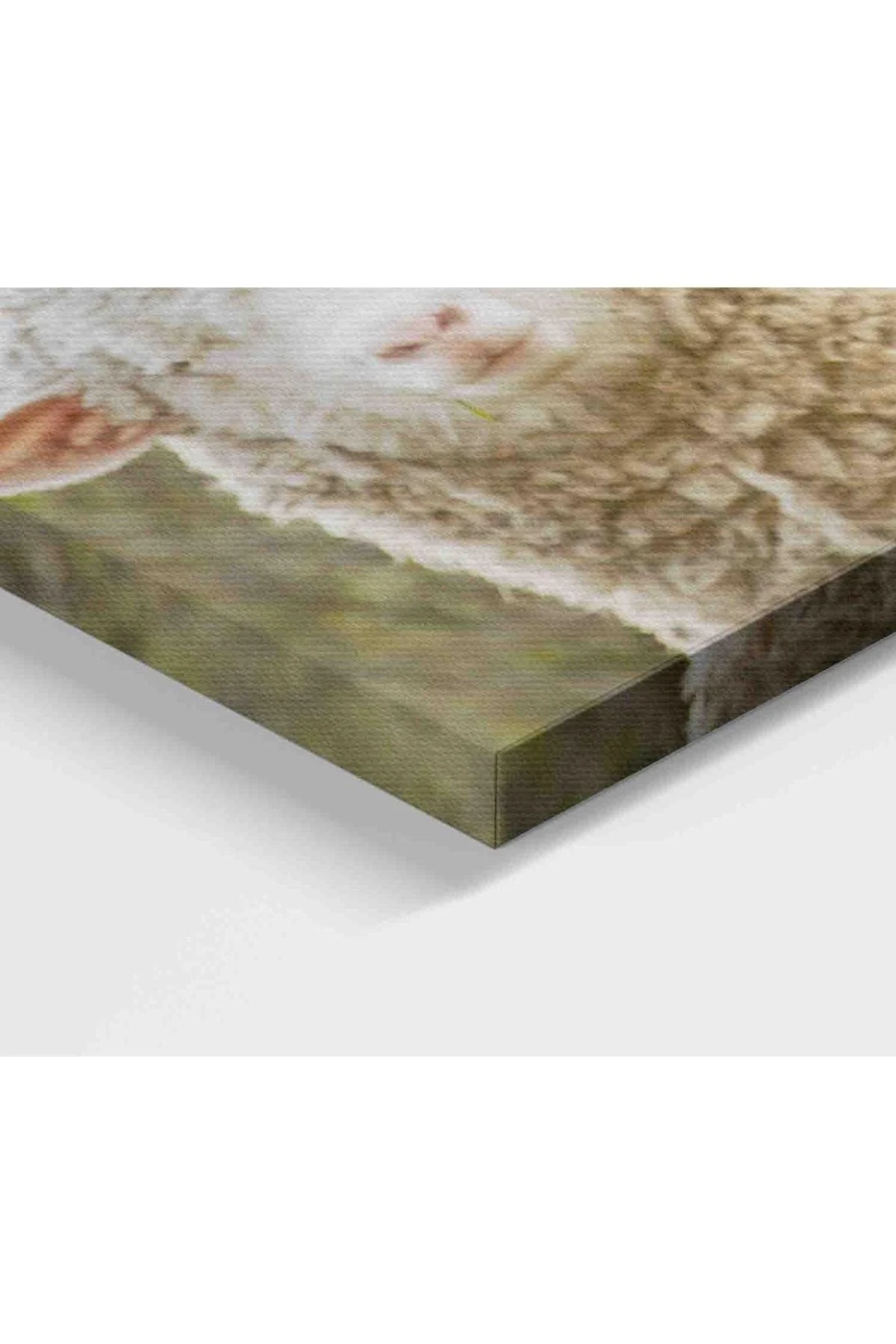 Koyun Kuzu Dekoratif Kanvas Tablo 1119