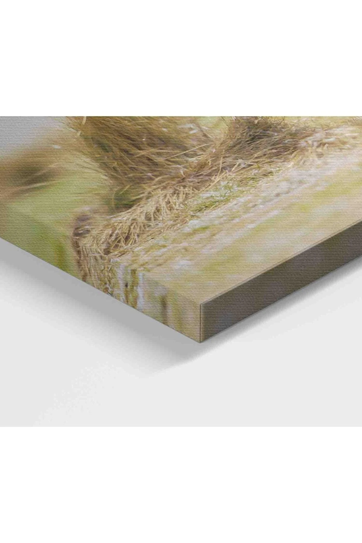 Mutlu Yavru Penguenler Dekoratif Kanvas Tablo 1152