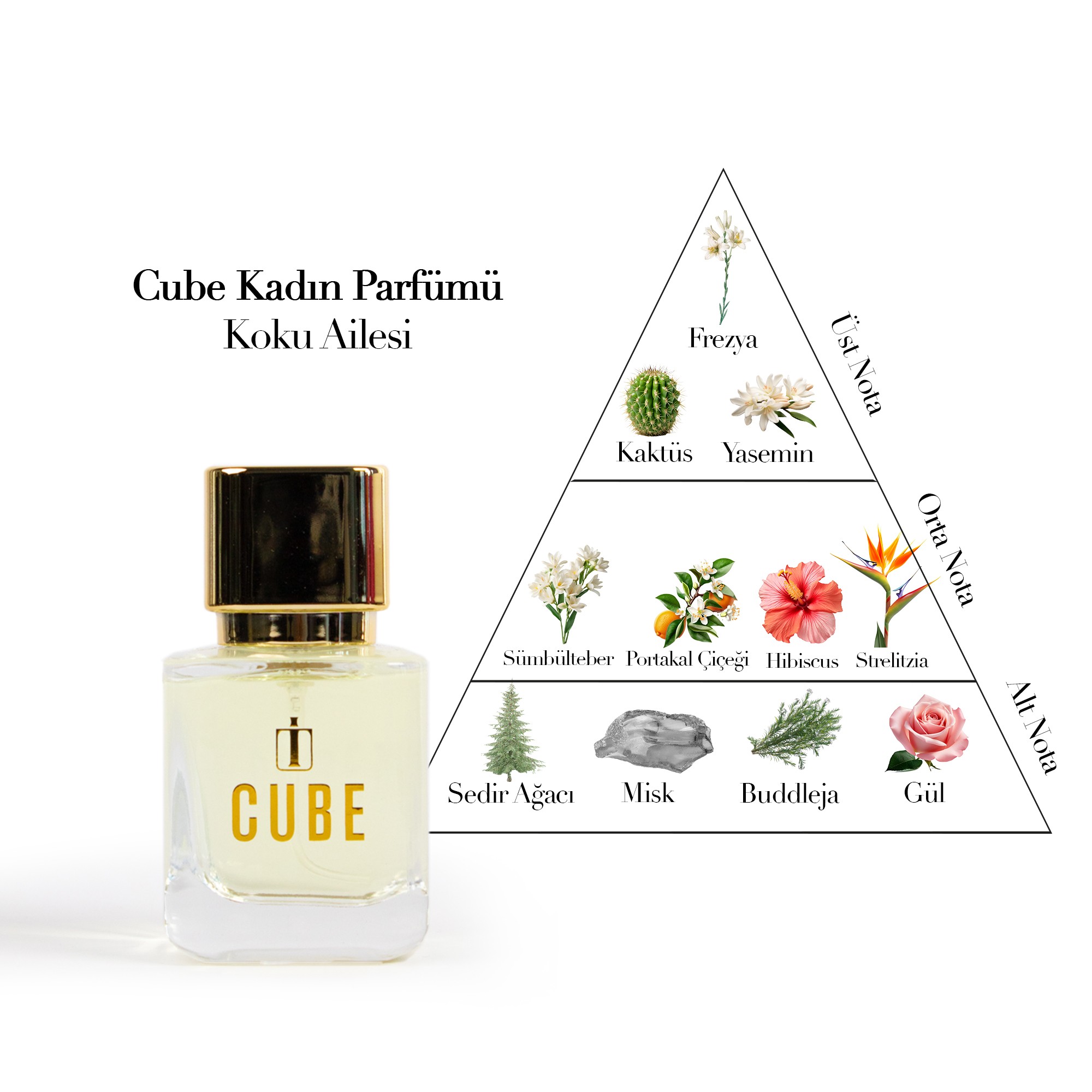 Cube Çiçeksi Kadın Parfüm 30 ml